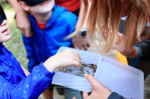 Alguna propuesta para disfrutar con los niños en Cuenca este verano.